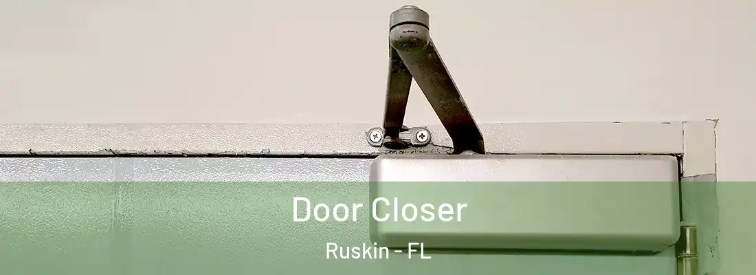 Door Closer Ruskin - FL