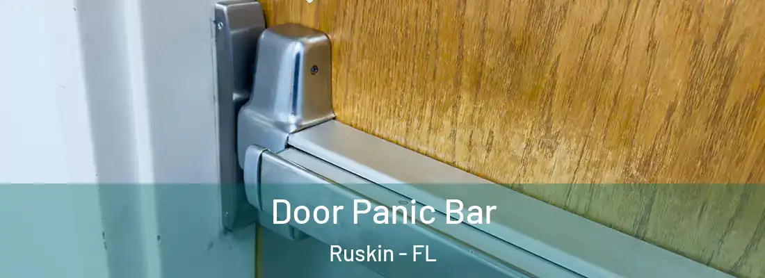 Door Panic Bar Ruskin - FL